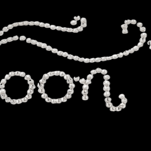 Bedoon essm logo big cursive D- Silver
