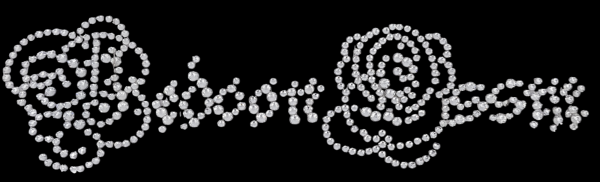 BEDOON ESSM LOGO SWAROVSKI SILVER