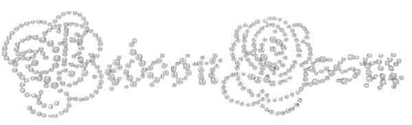 BEDOON ESSM LOGO SWAROVSKI SILVER - Image 2