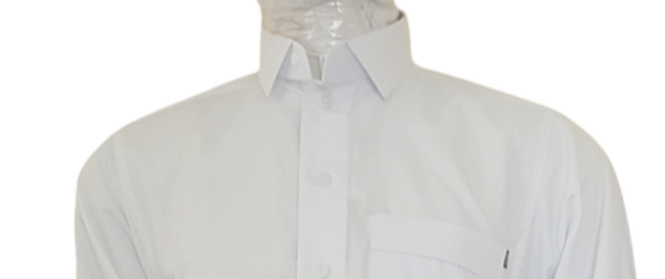 Sharqi Kurta With White V. Collar - Image 3